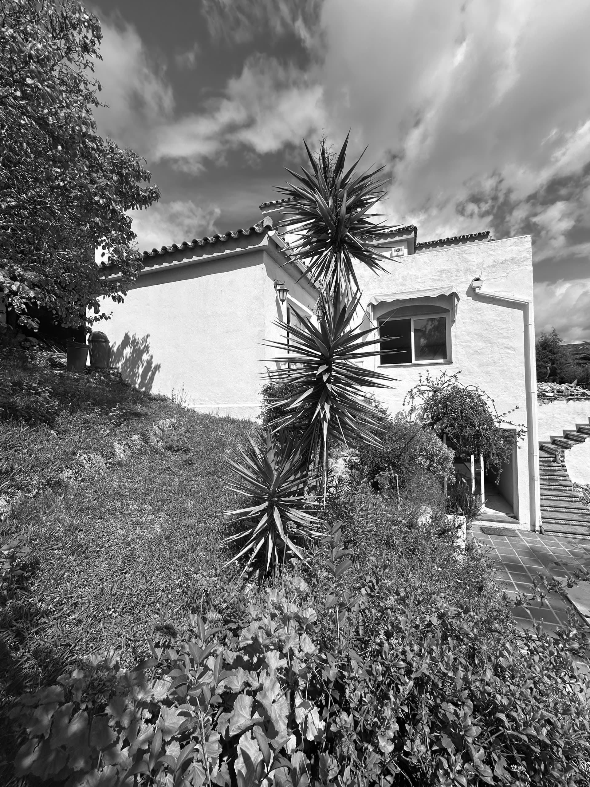 Casa Pear Trees, Nueva Andalucía — Marbella Dream Builders 4